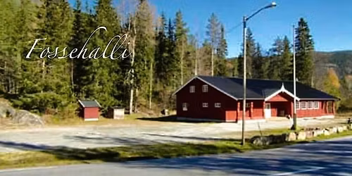 Loppemarked p\u00e5 Fossehalli 