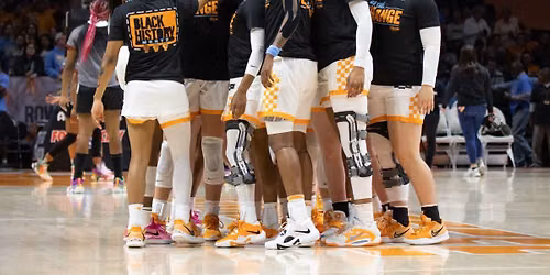 South Carolina Gamecocks at Tennessee Lady Vols Womens Basketball at Thompson-Boling Arena at Food City Center