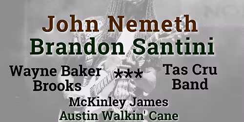 33rd River City Blues Festival