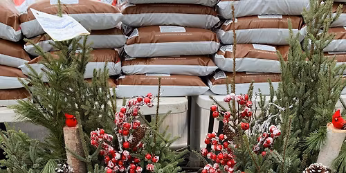 Spruce Top Potting Party!