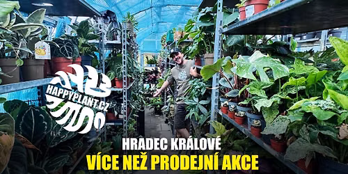 Mat\u011bj z HAPPYPLANT \ud83c\udf3f Pokojovky p\u0159\u00edmo ze sklen\u00edku\ud83d\udd25HRADEC KR\u00c1LOV\u00c9