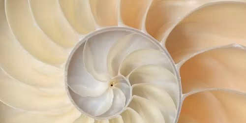 Integr\u00e1l csal\u00e1d- \u00e9s rendszer \u00e1ll\u00edt\u00e1s - N\u0151i csoport