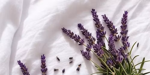 Taller presencial Brumas emocionales.