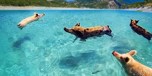 FERRAGOSTO 2026 - Raduno nazionale di chi non ha superato la prova costume sul Lago di Fiastra