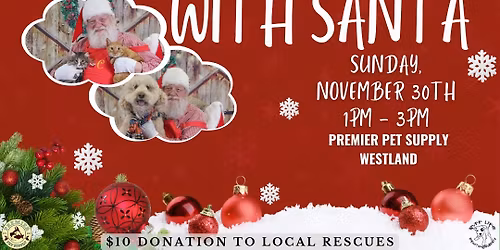 Pet Pictures W\/ Santa & Ruff Life Photography!