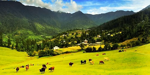 Weekend Sainj Valley & Shangarh Trip (Unexplored beauty of Himachal)