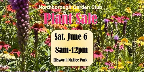 2026 Northborough Garden Club Plant Sale (CASH\/CHECK ONLY) Rain or Shine