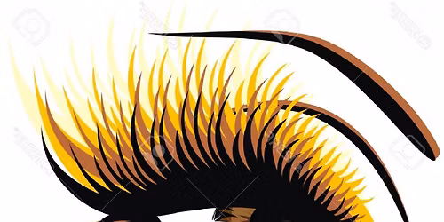 WATCH Indianapolis Indiana 2026 Conference 