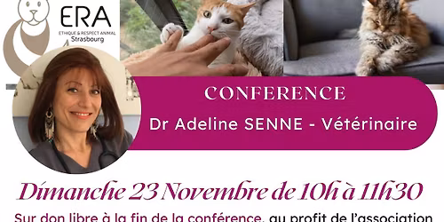 Conf\u00e9rence v\u00e9t\u00e9rinaire " le chat senior" et le " chat difficile "