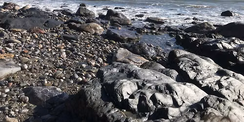 Geology of Meadfoot Beach