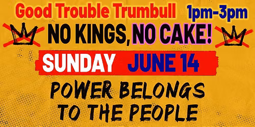 No Kings, No Cake! Warren, Ohio Rally June 14