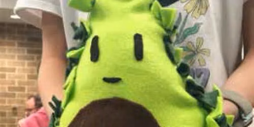 T&T: Avocado Plushies