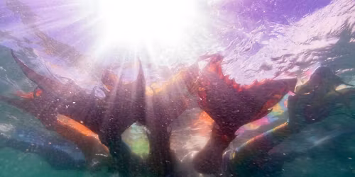 Busso: Mermaids Beach and Underwater cleanup