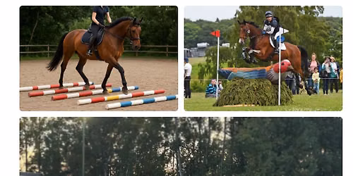 Flat work, pole and jumping clinic with Louise Harwood