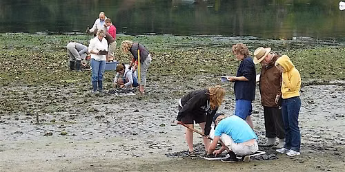 Teachers on the Estuary Workshop for Elementary Educators