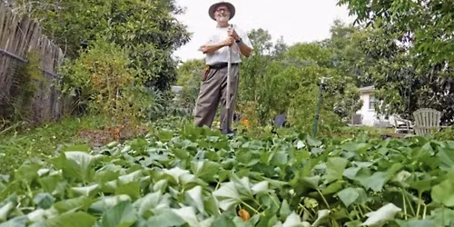 Walk & Talk Club: Extra Mile at Grand Gardens