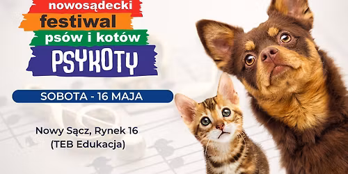 Trzeci Nowos\u0105decki Festiwal Ps\u00f3w i Kot\u00f3w \u201ePsyKoty\u201d