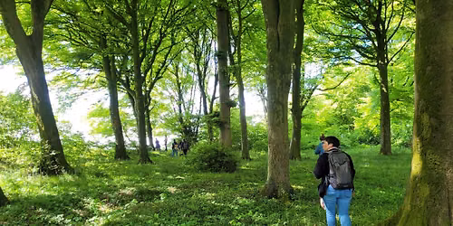 Balade "Les arbres nourriciers" (Namur)