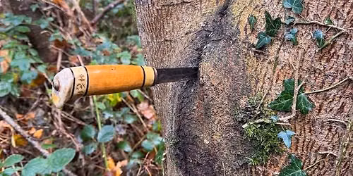  Lantra Awards  Professional Tree Inspection Course \u2013 Limited Places Available