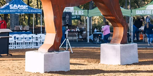 12\/18 B-Group - Dawgs After Dark