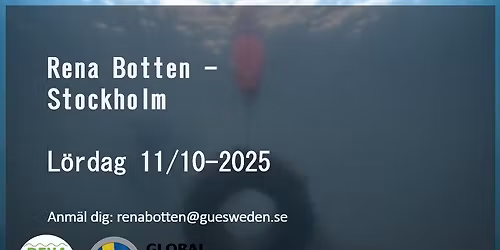 Rena Botten Stockholm städar i Edsviken