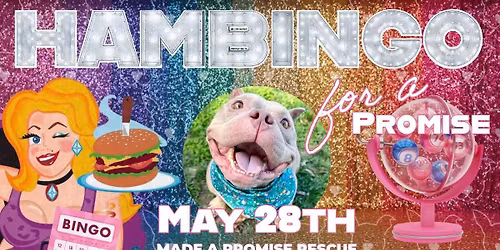 HamBingo for Made a Promise Rescue 