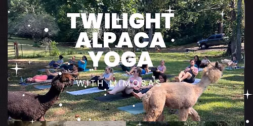 Twilight Alpaca Yoga & Mimosas with Audrey