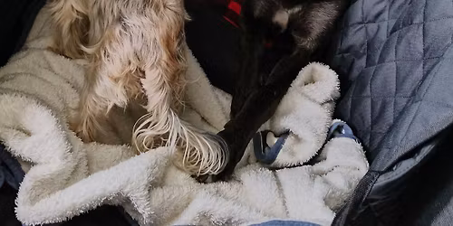 Orangihina Harbourside Walk