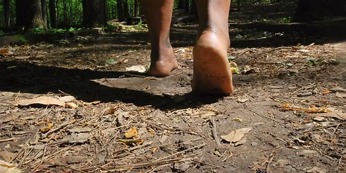 Silent Earthing Hike