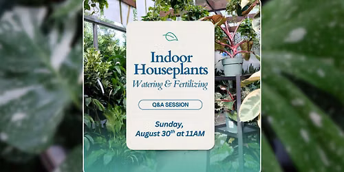 Indoor Houseplants Watering & Fertilizing (Q&A)