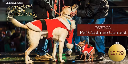 Delta Dental Dickens of a Christmas: Pet Costume Contest