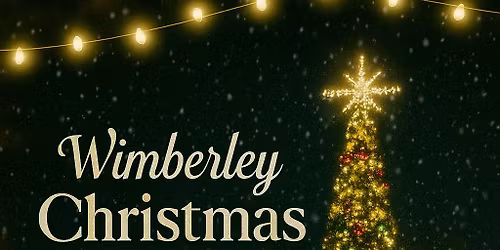 Wimberley Christmas Tree Lighting at Ace