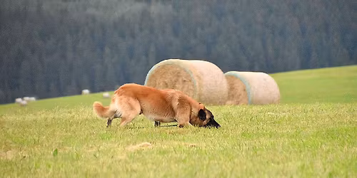 Stopy na hor\u00e1ch - b\u0159ezen 2026