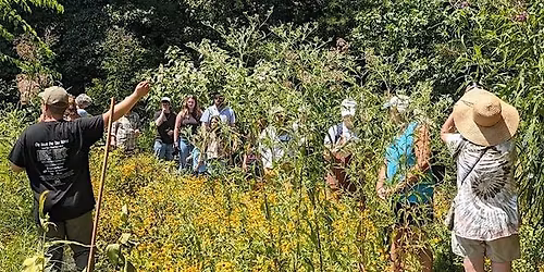 SI Bio-Blitz Torrey Botanical Society Plant Walk