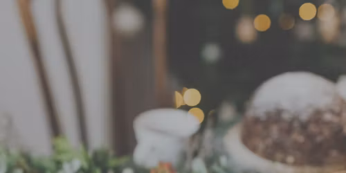 Under the Winter Lights