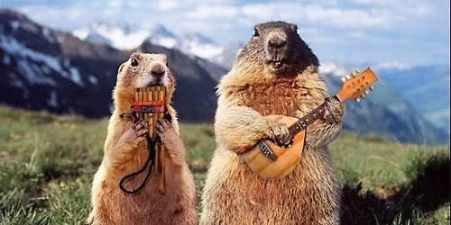 Live Music at the Merry Marmot Festival!