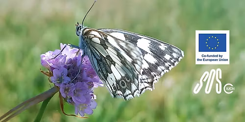 Butterflies Garden \u2013 Co-Creation & Planting Day