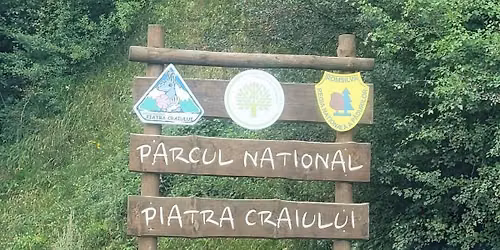\ud83c\udf42 Culorile Toamnei \u00een Piatra Craiului \u2013 Cabana Curm\u0103tura \ud83c\udf41