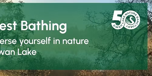 Forest Bathing at Swan Lake