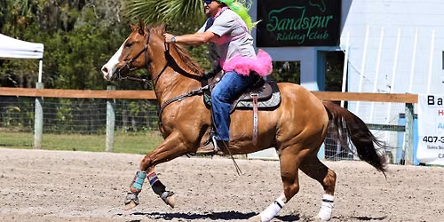 Sandspur Riding Club 1st in the Series Men's Know it all Race