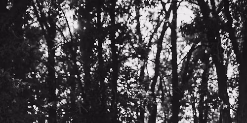 Wedding Social in Honour of Kate Cameron and Tyler Owens