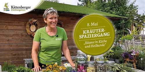 Kr\u00e4uterspaziergang \u201eB\u00e4ume in K\u00fcche und Heilkunde\u201c