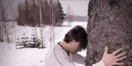 Storseans med Medium Max 