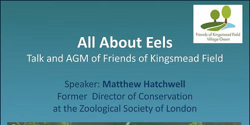 Talk 'All About Eels' and AGM of the Friends of Kingsmead Field