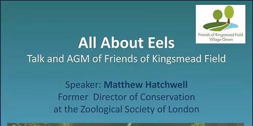 Talk 'All About Eels' and AGM of the Friends of Kingsmead Field
