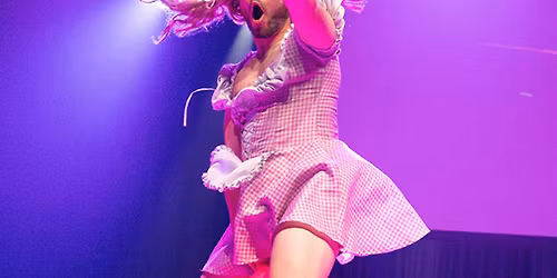 \ud83e\udd2a BONGO\u2019S BINGO