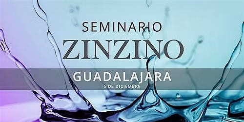 Seminario ZINZINO Guadalajara