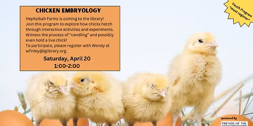 Youth: Chicken Embryology