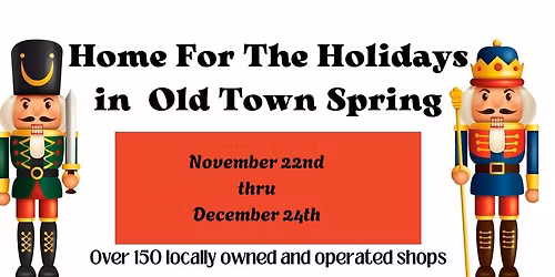 Home For The Holidays