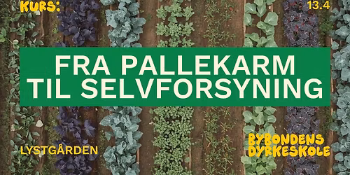 Fra pallekarm til selvforsyning \ud83d\udc9a Bybonden i Bergen